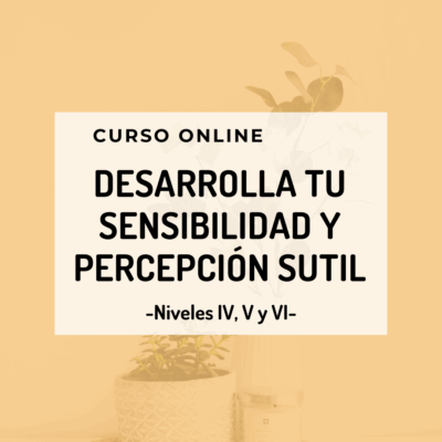 Desarrolla tu sensibilidad y percepción sutil 2